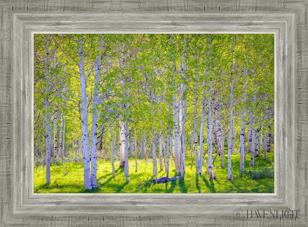 Early Morning Light In The Wasatch Backcountry Open Edition Canvas / 18 X 12 Silver 22 3/4 16 Art