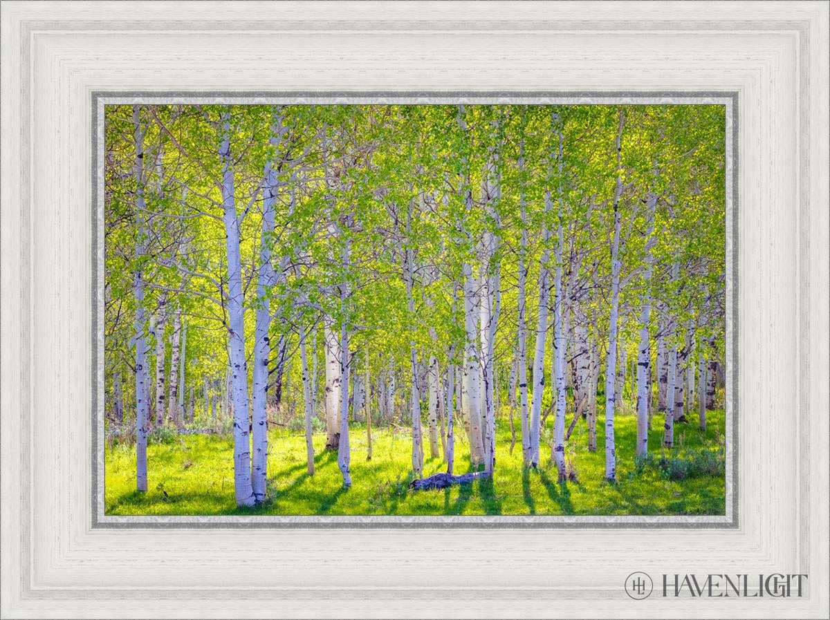 Early Morning Light In The Wasatch Backcountry Open Edition Canvas / 18 X 12 White 23 3/4 17 Art