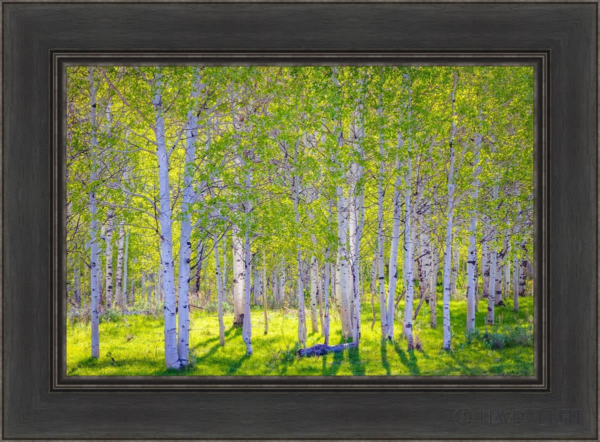 Early Morning Light In The Wasatch Backcountry Open Edition Canvas / 24 X 16 Black 30 1/2 22 Art