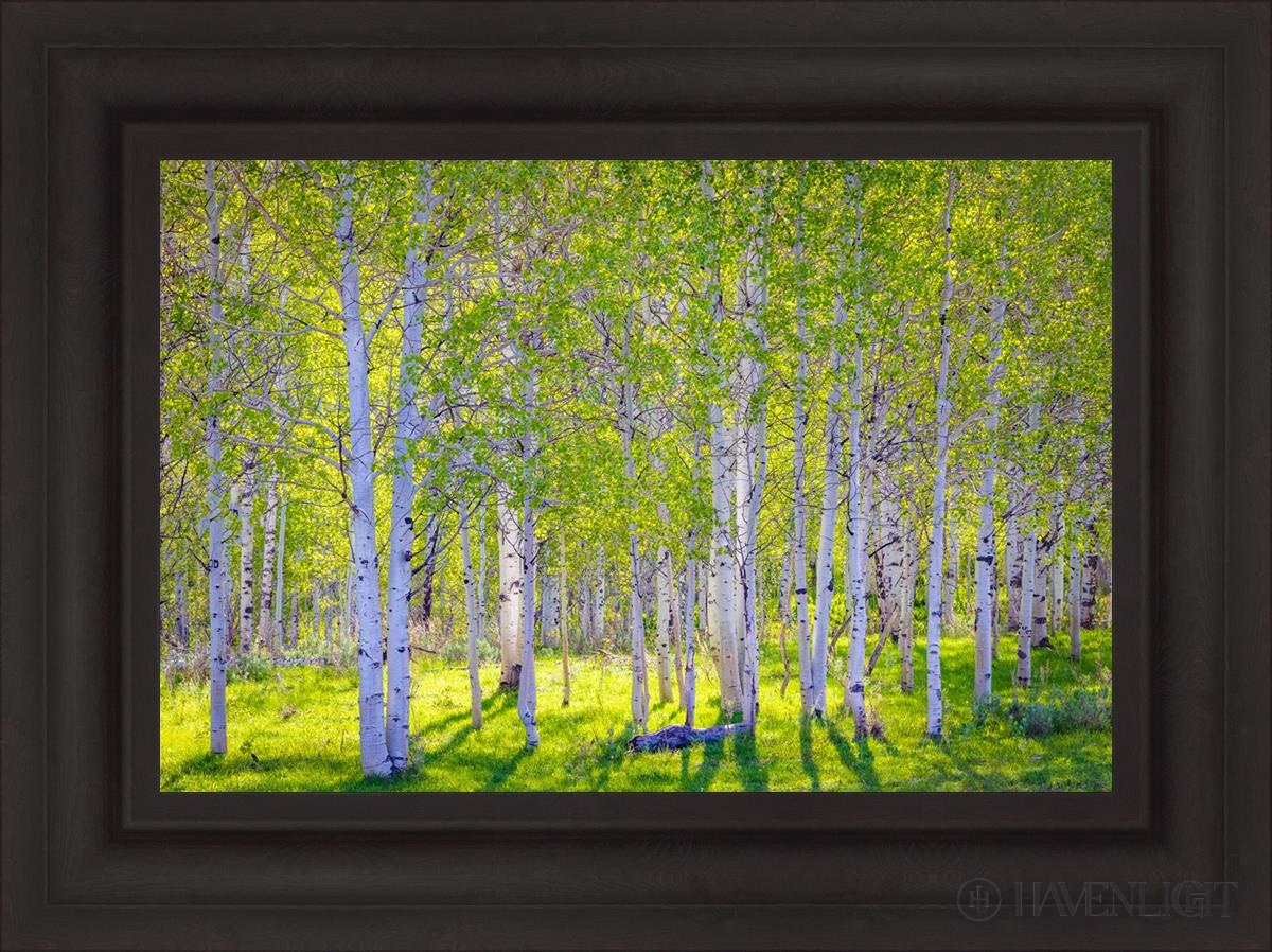 Early Morning Light In The Wasatch Backcountry Open Edition Canvas / 24 X 16 Brown 31 3/4 23 Art