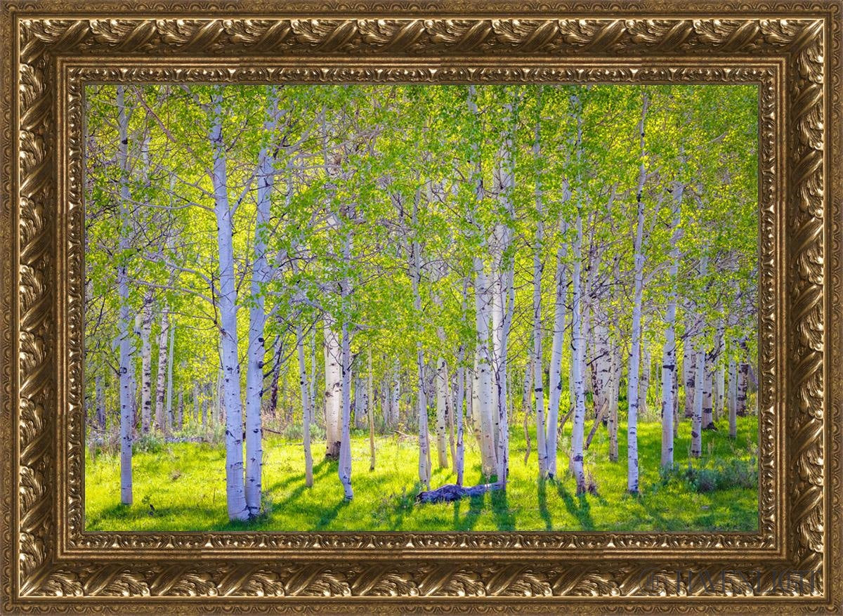 Early Morning Light In The Wasatch Backcountry Open Edition Canvas / 24 X 16 Gold 29 3/4 21 Art