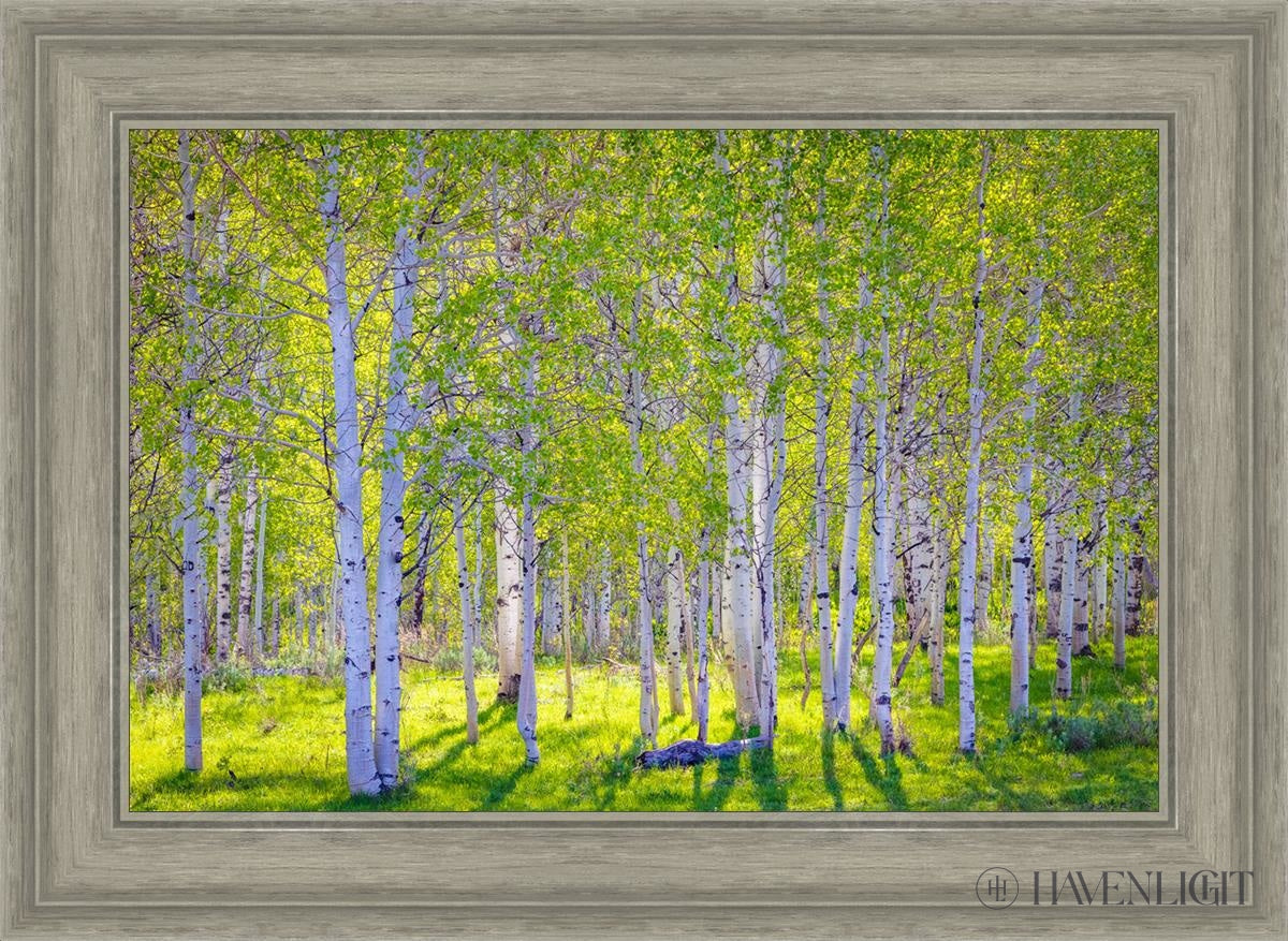 Early Morning Light In The Wasatch Backcountry Open Edition Canvas / 24 X 16 Gray 29 3/4 21 Art