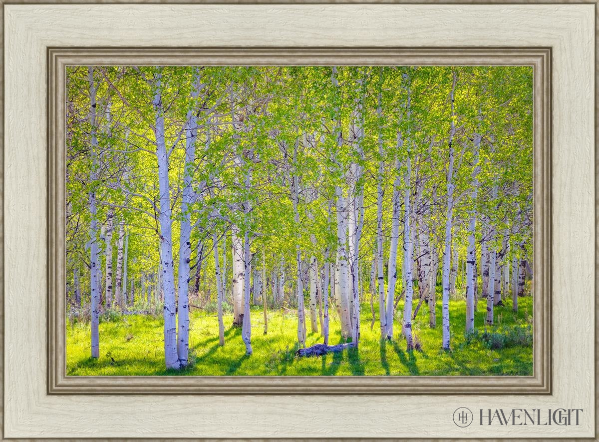 Early Morning Light In The Wasatch Backcountry Open Edition Canvas / 24 X 16 Ivory 30 1/2 22 Art