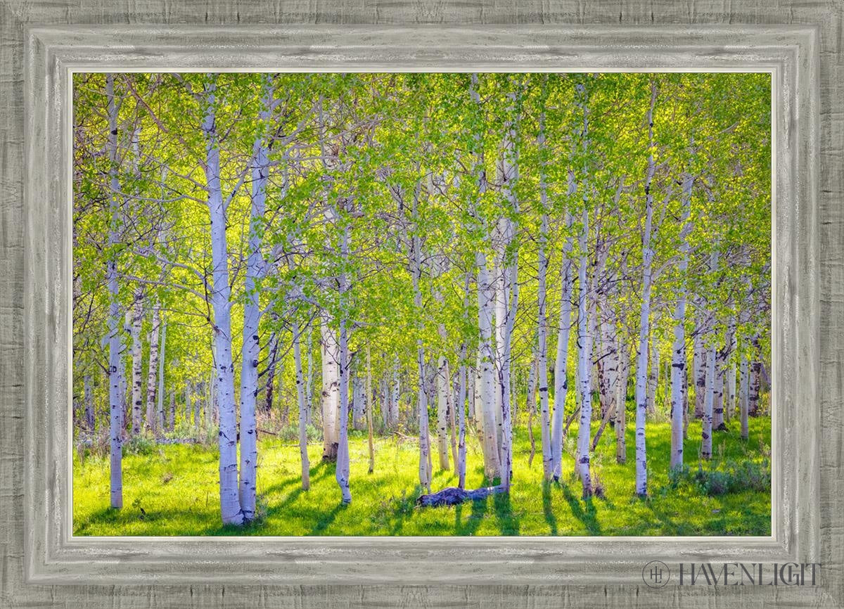 Early Morning Light In The Wasatch Backcountry Open Edition Canvas / 24 X 16 Silver 28 3/4 20 Art