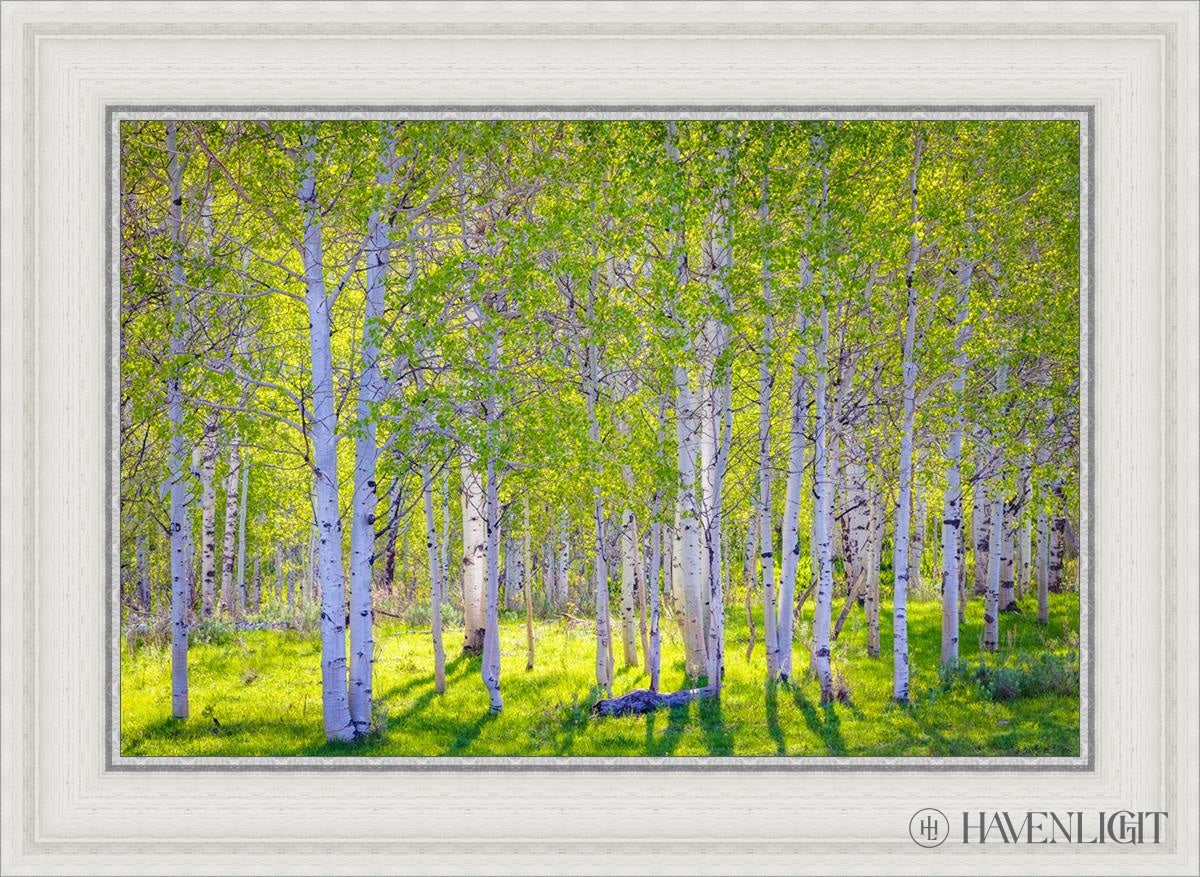Early Morning Light In The Wasatch Backcountry Open Edition Canvas / 24 X 16 White 29 3/4 21 Art