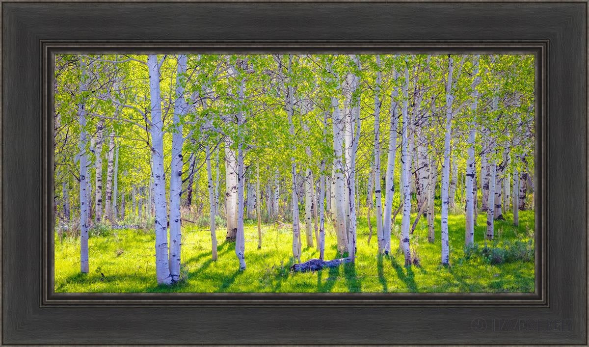 Early Morning Light In The Wasatch Backcountry Open Edition Canvas / 30 X 15 Black 36 1/2 21 Art