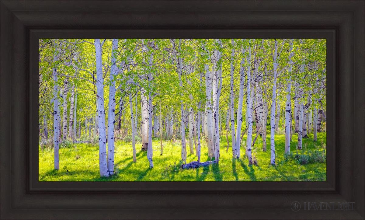 Early Morning Light In The Wasatch Backcountry Open Edition Canvas / 30 X 15 Brown 37 3/4 22 Art