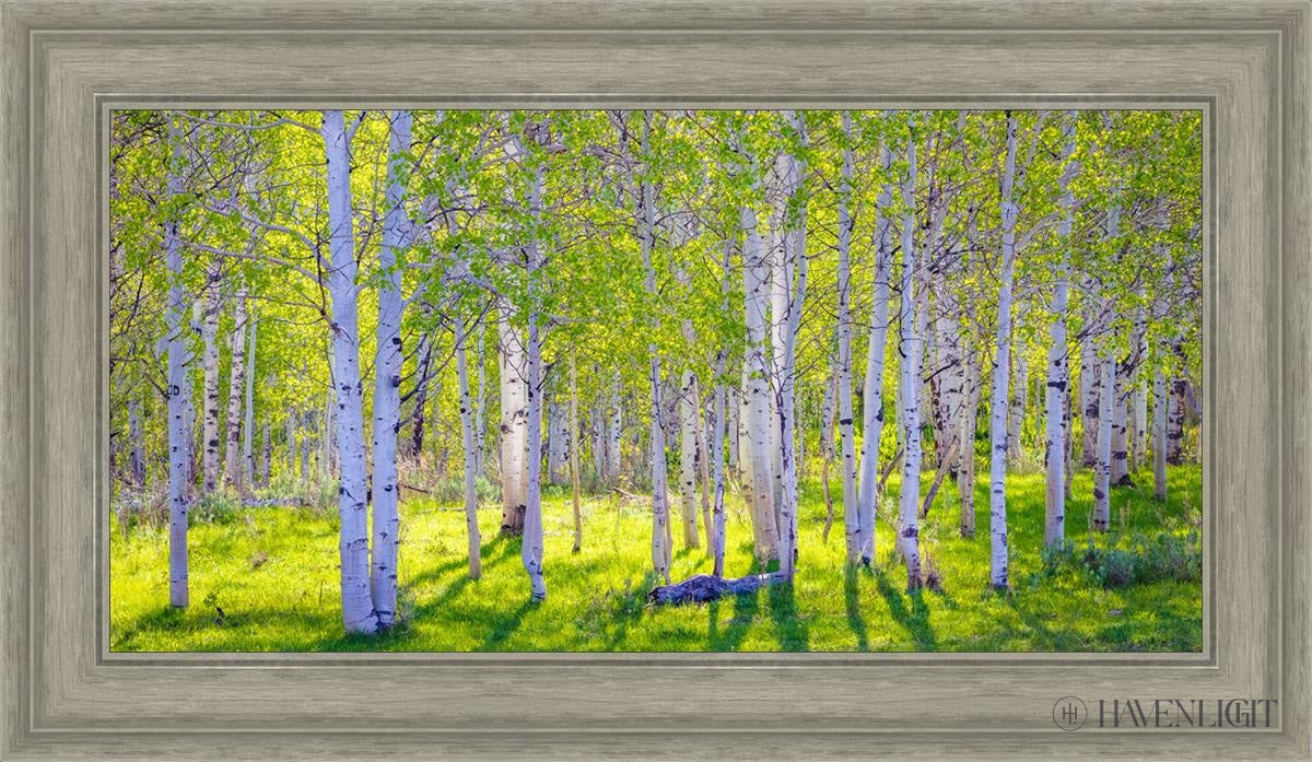 Early Morning Light In The Wasatch Backcountry Open Edition Canvas / 30 X 15 Gray 35 3/4 20 Art