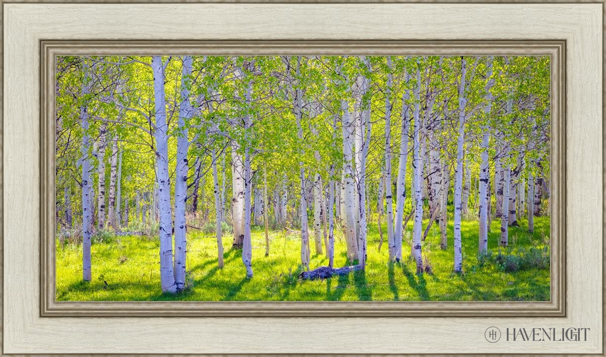 Early Morning Light In The Wasatch Backcountry Open Edition Canvas / 30 X 15 Ivory 36 1/2 21 Art