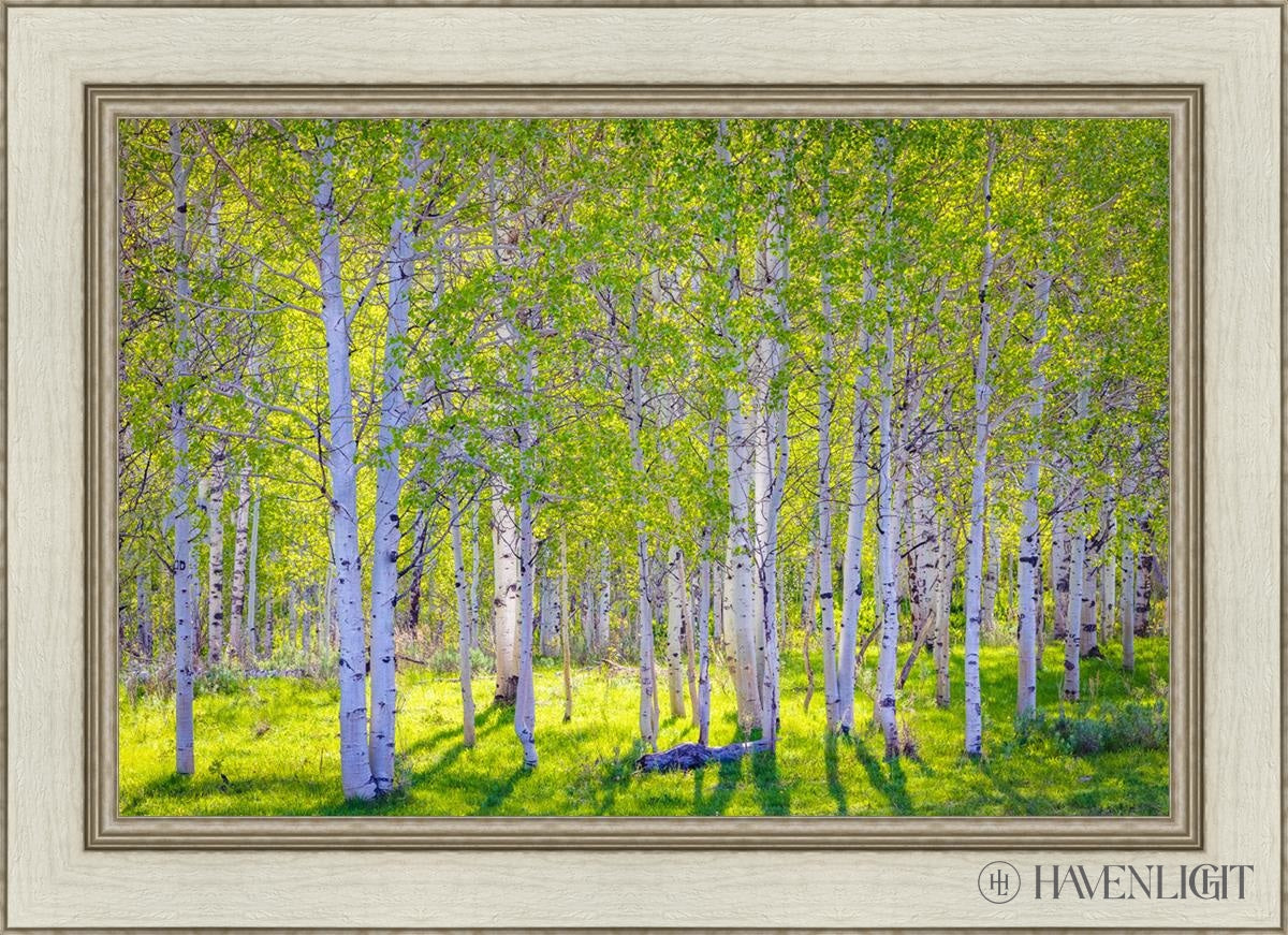 Early Morning Light In The Wasatch Backcountry Open Edition Canvas / 30 X 20 Ivory 36 1/2 26 Art
