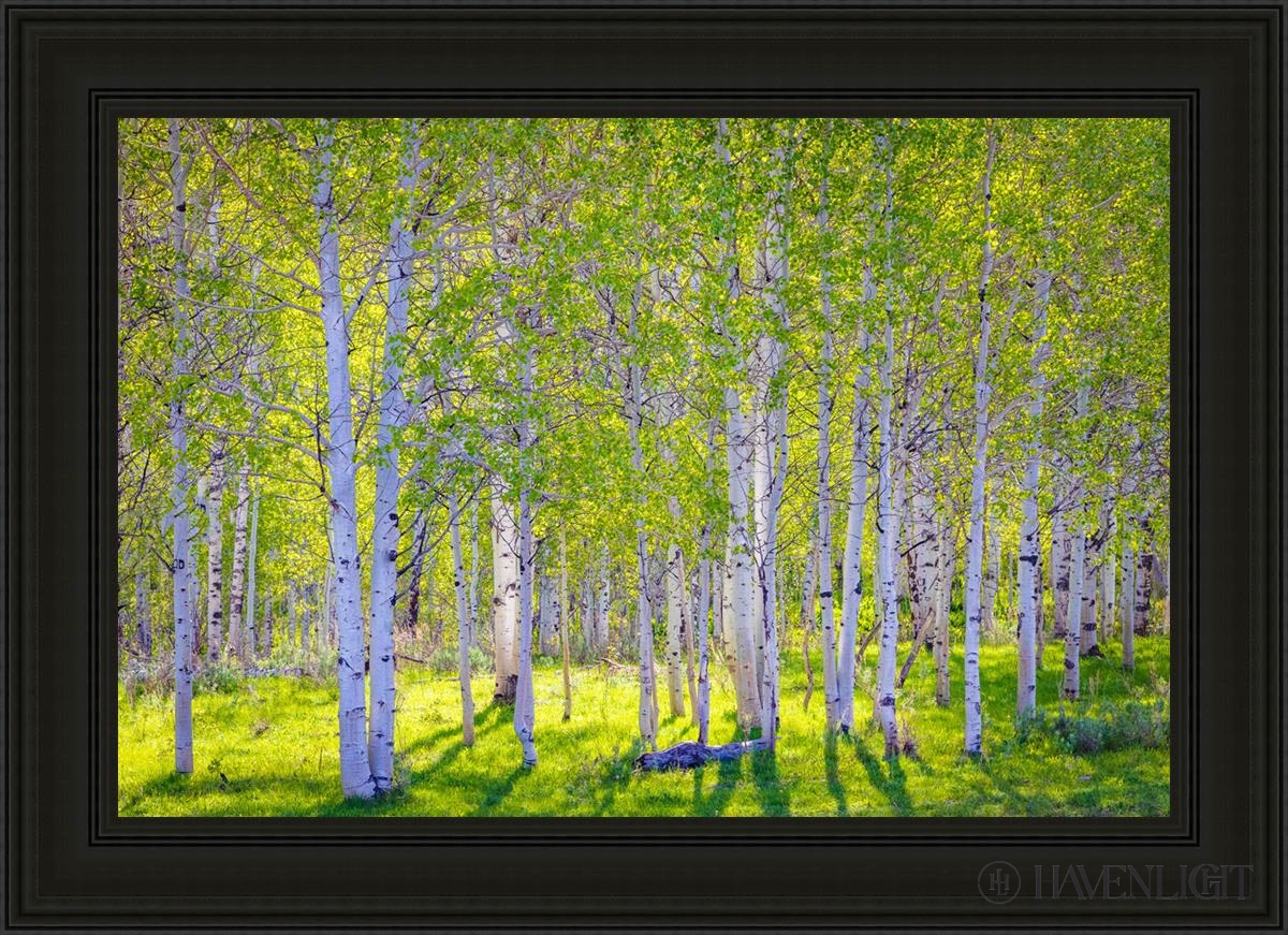 Early Morning Light In The Wasatch Backcountry Open Edition Canvas / 36 X 24 Black 43 3/4 31 Art