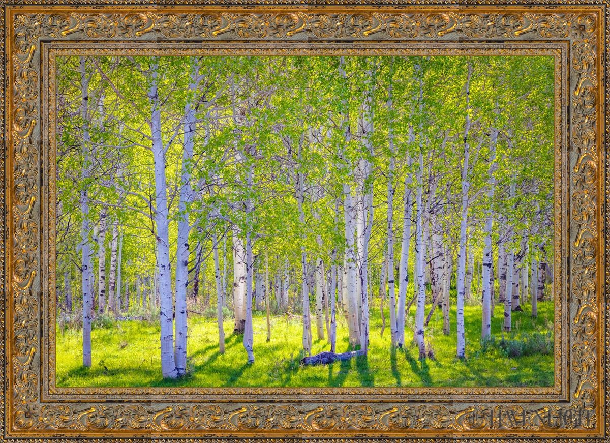Early Morning Light In The Wasatch Backcountry Open Edition Canvas / 36 X 24 Gold 43 3/4 31 Art