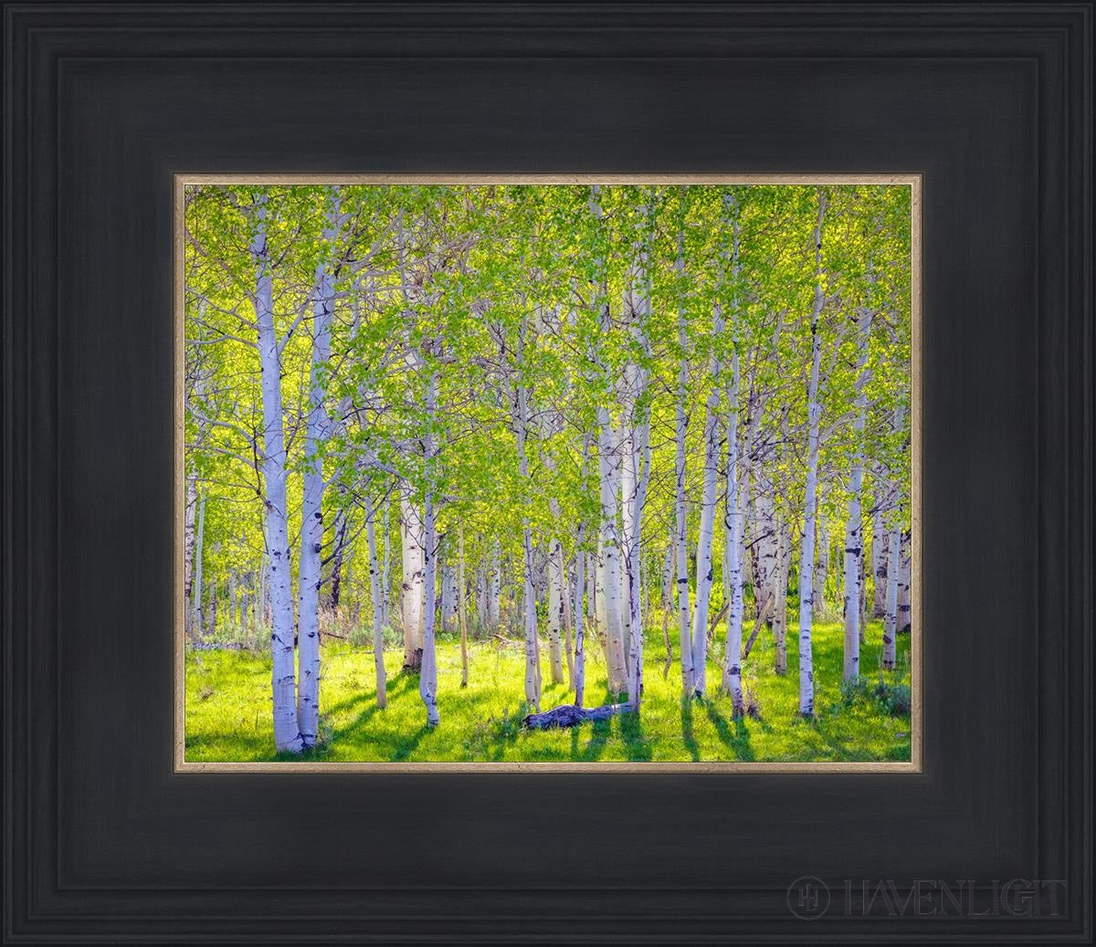 Early Morning Light In The Wasatch Backcountry Open Edition Print / 10 X 8 Black 14 3/4 12 Art