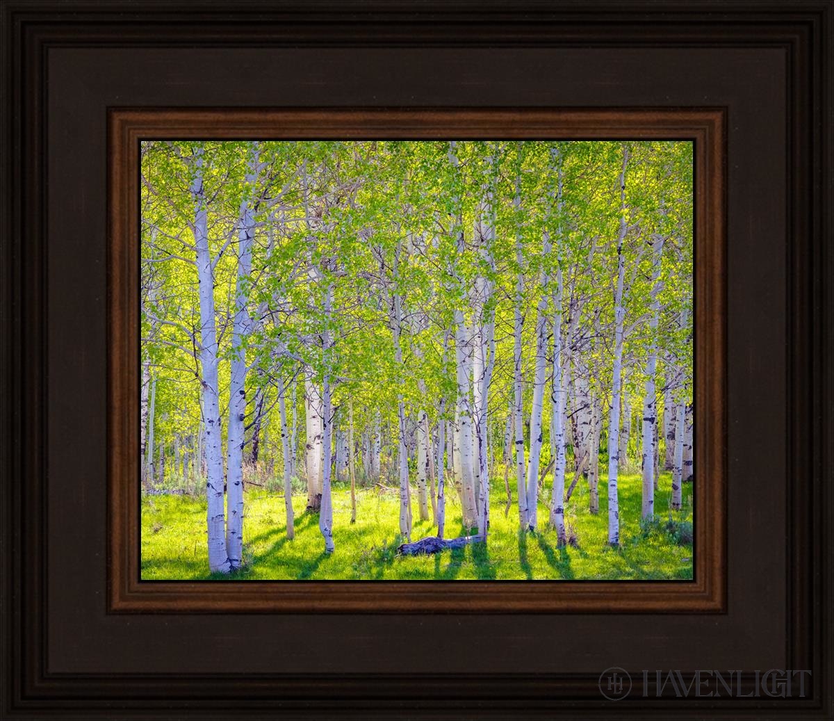 Early Morning Light In The Wasatch Backcountry Open Edition Print / 10 X 8 Brown 14 3/4 12 Art