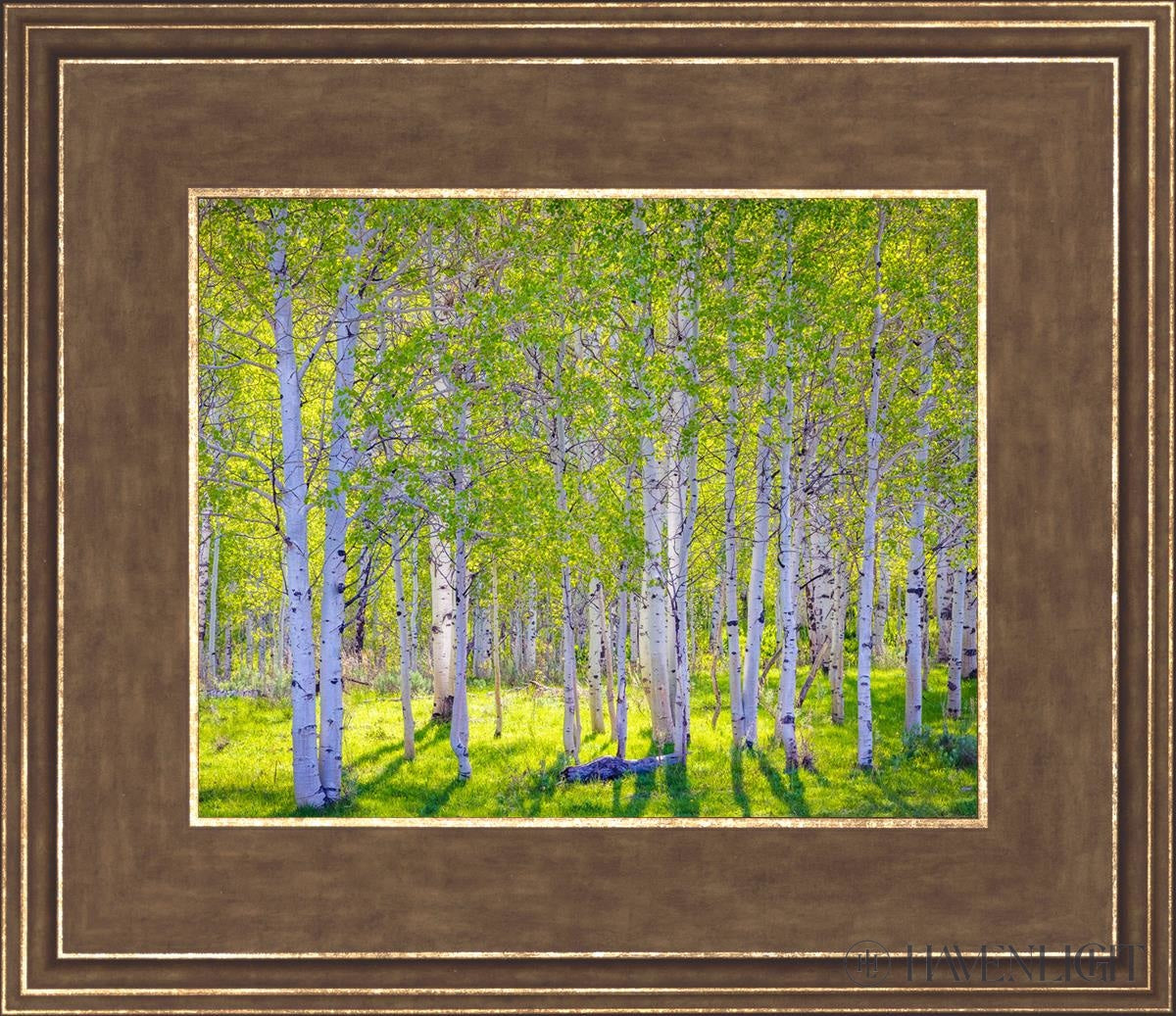 Early Morning Light In The Wasatch Backcountry Open Edition Print / 10 X 8 Gold 14 3/4 12 Art