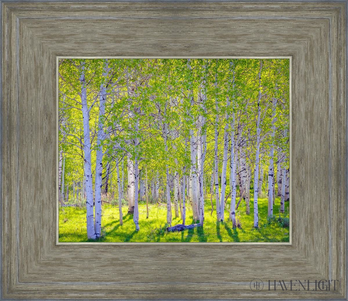 Early Morning Light In The Wasatch Backcountry Open Edition Print / 10 X 8 Gray 14 3/4 12 Art