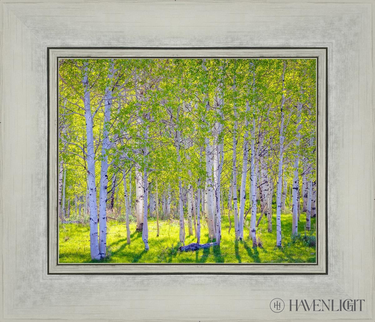 Early Morning Light In The Wasatch Backcountry Open Edition Print / 10 X 8 Silver 14 1/4 12 Art