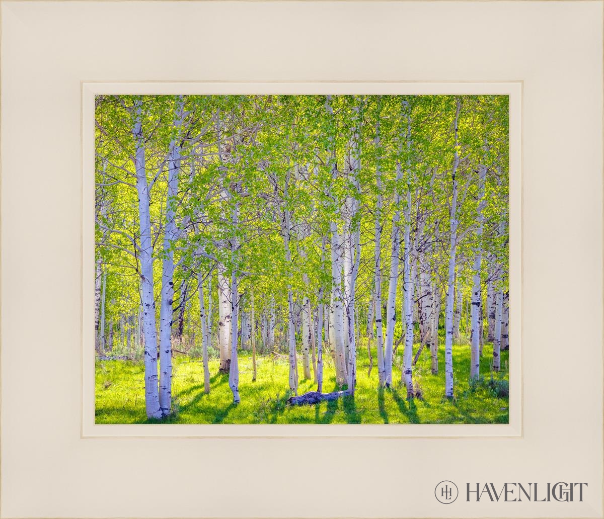 Early Morning Light In The Wasatch Backcountry Open Edition Print / 10 X 8 White 14 1/4 12 Art