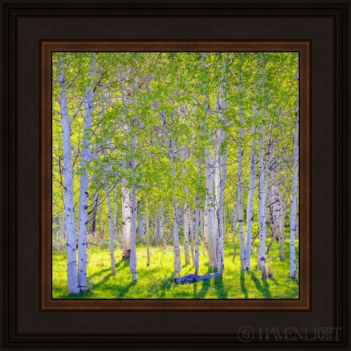 Early Morning Light In The Wasatch Backcountry Open Edition Print / 12 X Brown 16 3/4 Art