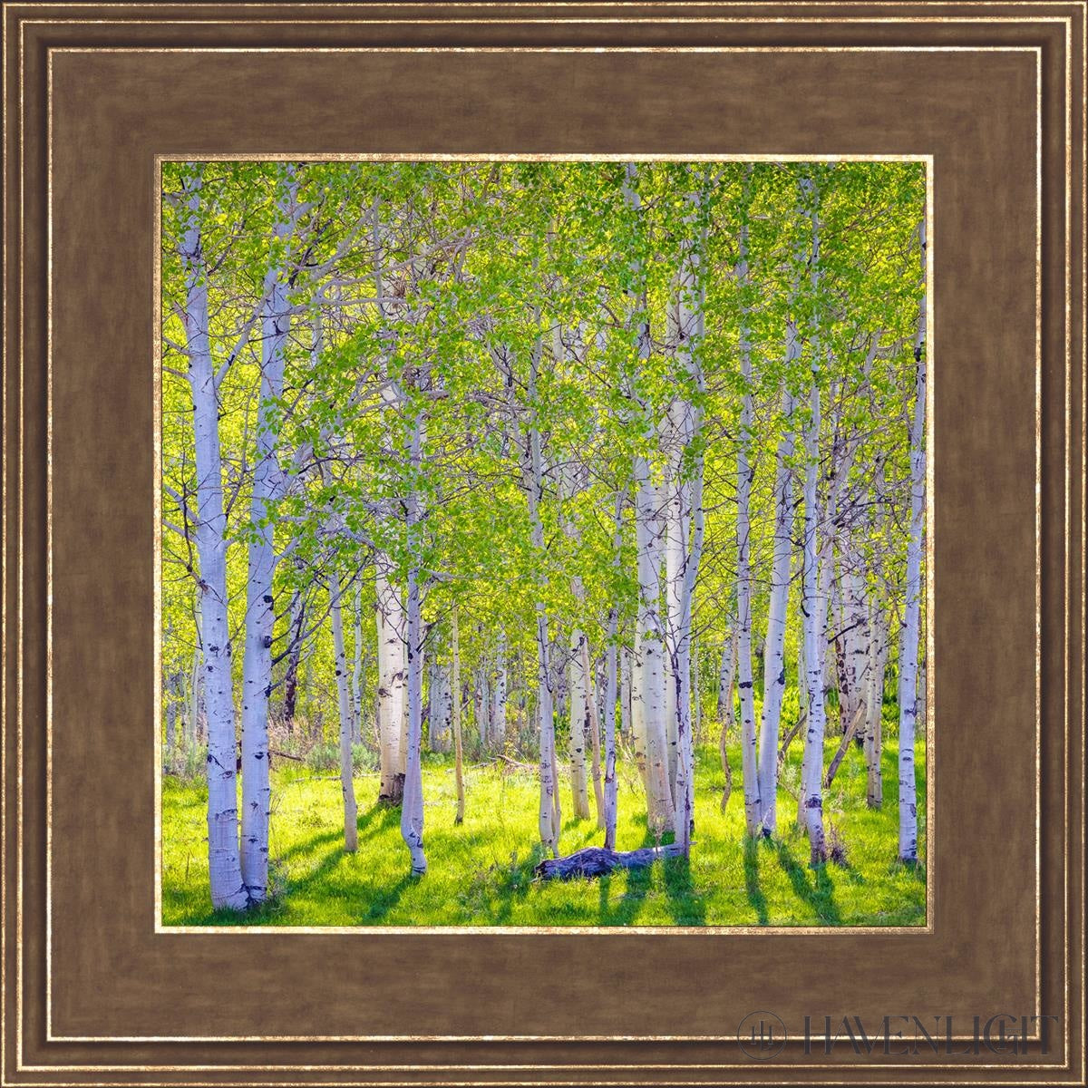 Early Morning Light In The Wasatch Backcountry Open Edition Print / 12 X Gold 16 3/4 Art