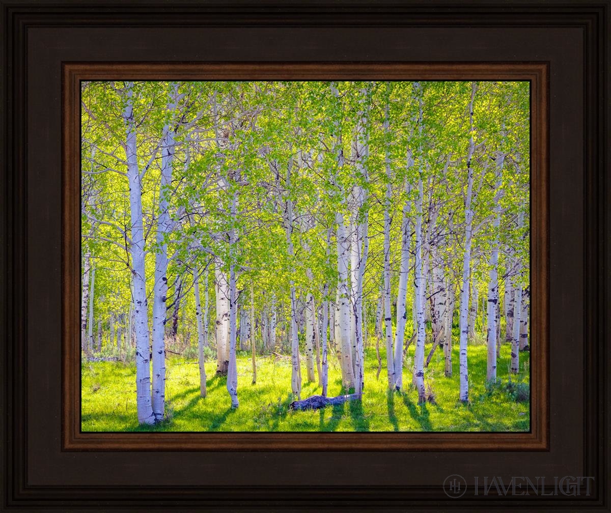 Early Morning Light In The Wasatch Backcountry Open Edition Print / 14 X 11 Brown 18 3/4 15 Art