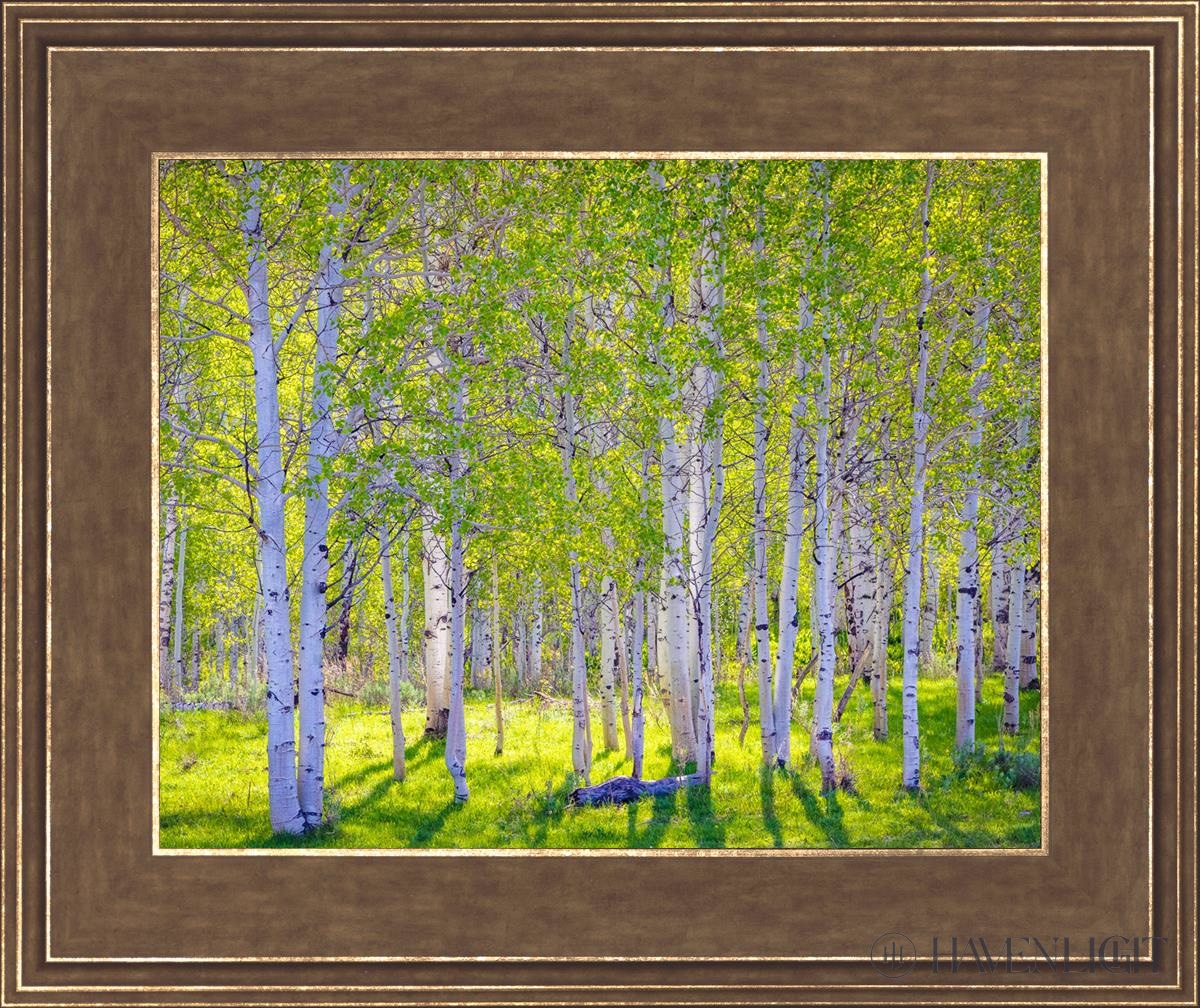 Early Morning Light In The Wasatch Backcountry Open Edition Print / 14 X 11 Gold 18 3/4 15 Art