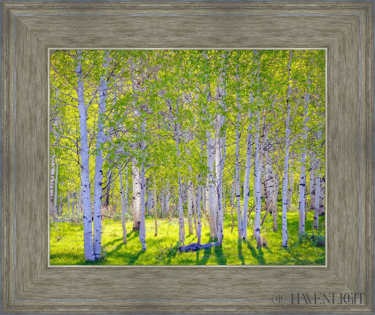 Early Morning Light In The Wasatch Backcountry Open Edition Print / 14 X 11 Gray 18 3/4 15 Art