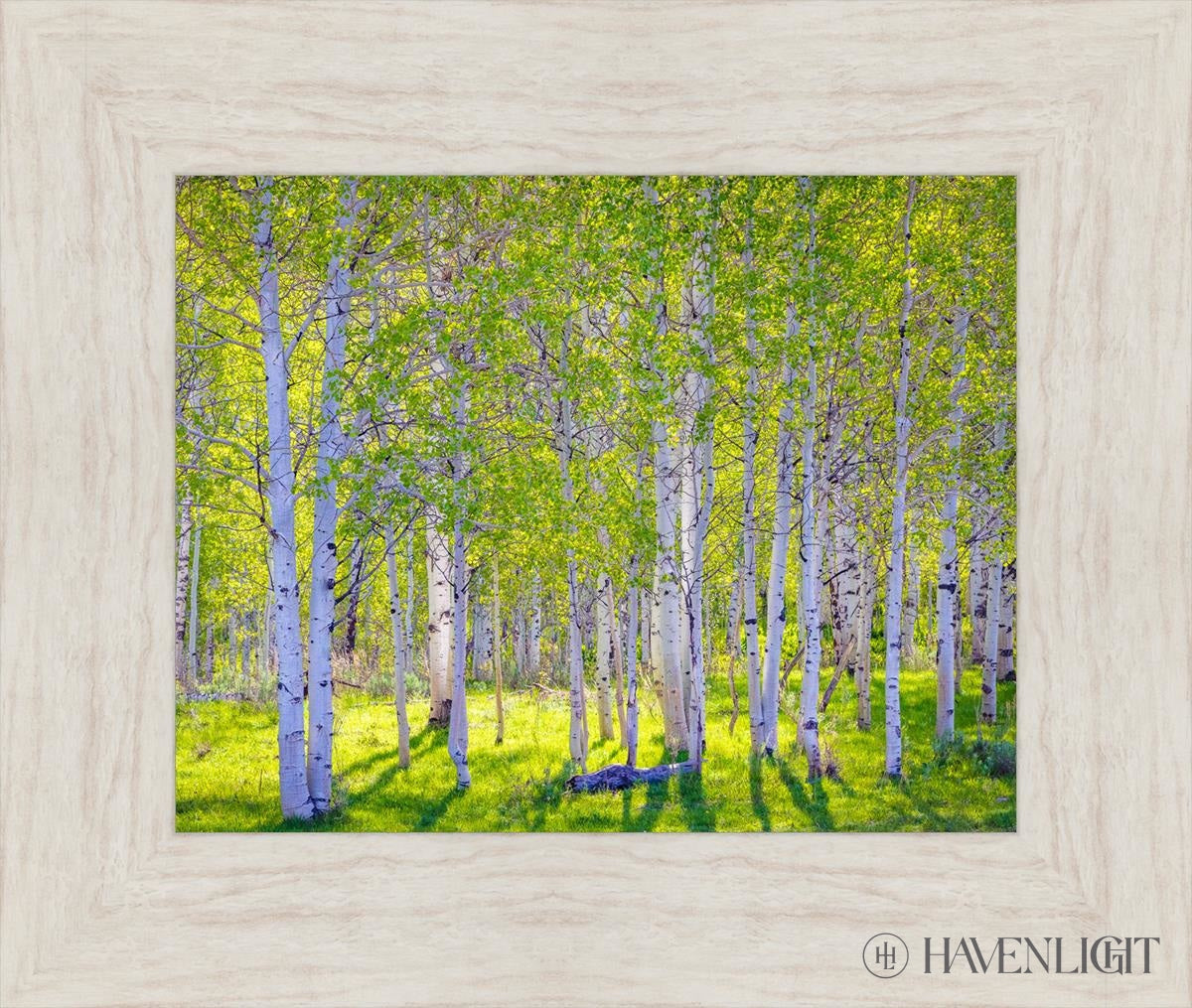 Early Morning Light In The Wasatch Backcountry Open Edition Print / 14 X 11 Ivory 19 1/2 16 Art