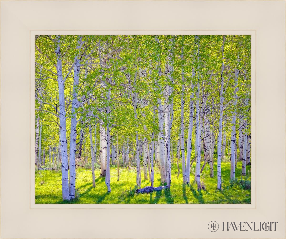 Early Morning Light In The Wasatch Backcountry Open Edition Print / 14 X 11 White 18 1/4 15 Art