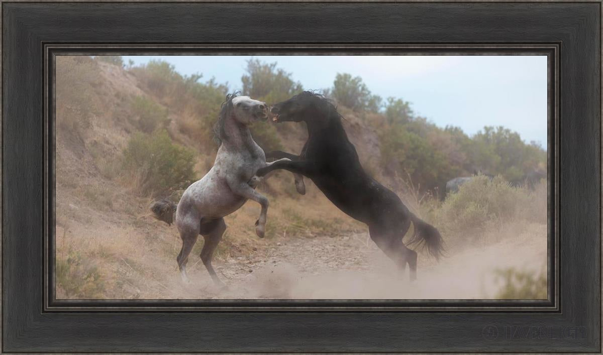 Fight In The Wash Open Edition Canvas / 30 X 15 Black 36 1/2 21 Art