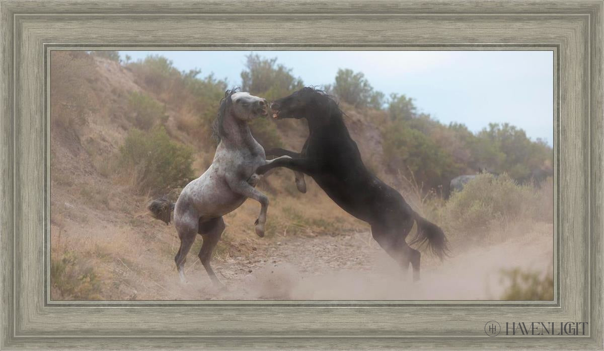 Fight In The Wash Open Edition Canvas / 30 X 15 Gray 35 3/4 20 Art