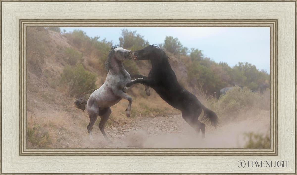 Fight In The Wash Open Edition Canvas / 30 X 15 Ivory 36 1/2 21 Art