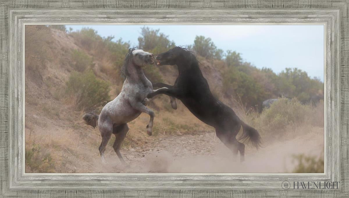 Fight In The Wash Open Edition Canvas / 30 X 15 Silver 34 3/4 19 Art