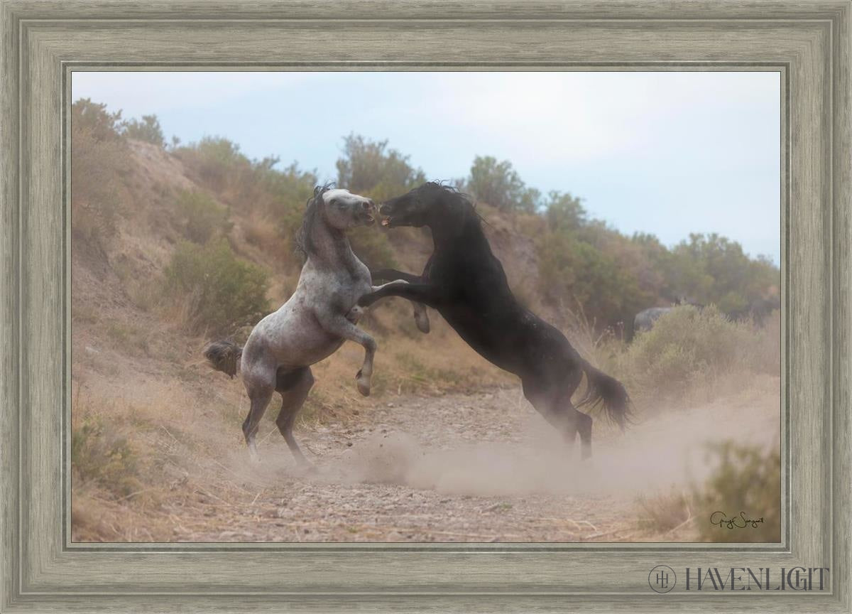 Fight In The Wash Open Edition Canvas / 30 X 20 Gray 35 3/4 25 Art