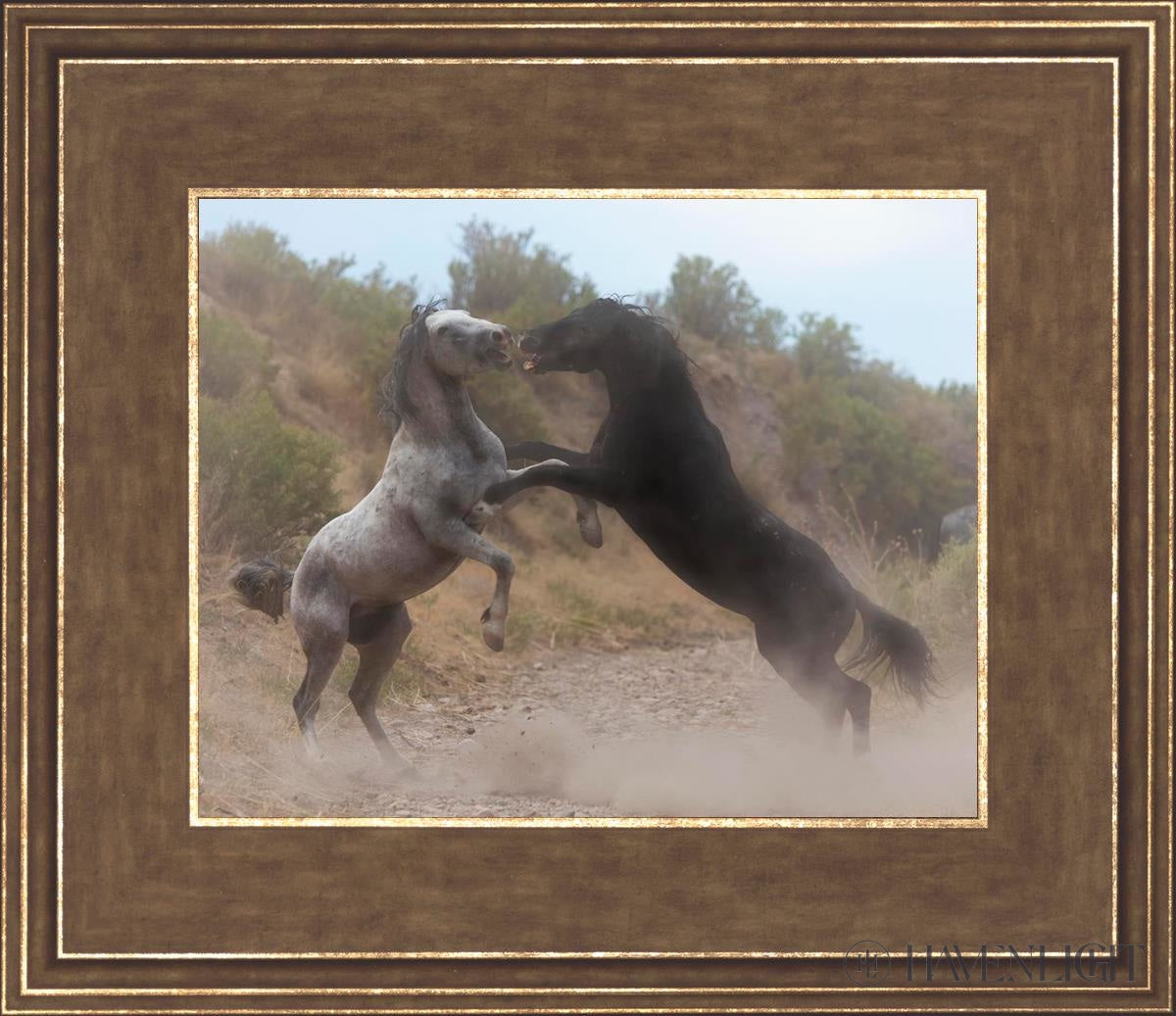 Fight In The Wash Open Edition Print / 10 X 8 Gold 14 3/4 12 Art
