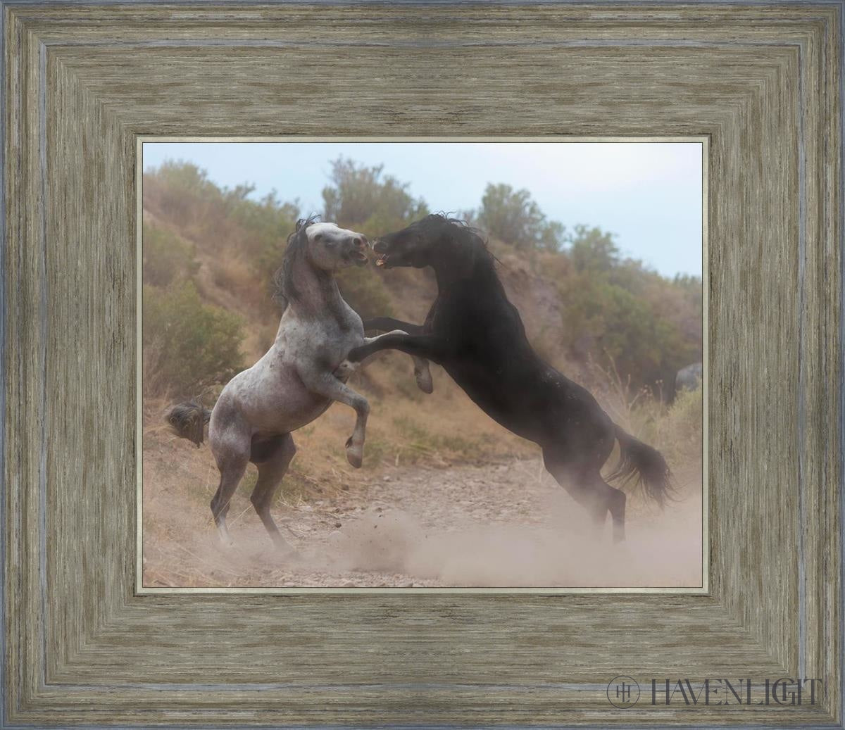 Fight In The Wash Open Edition Print / 10 X 8 Gray 14 3/4 12 Art