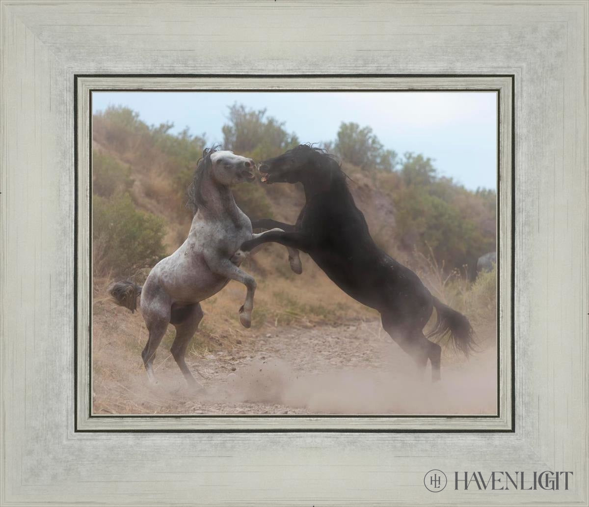Fight In The Wash Open Edition Print / 10 X 8 Silver 14 1/4 12 Art