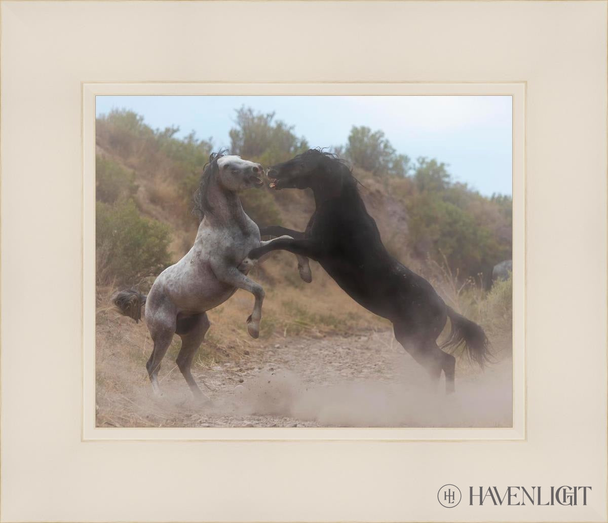Fight In The Wash Open Edition Print / 10 X 8 White 14 1/4 12 Art