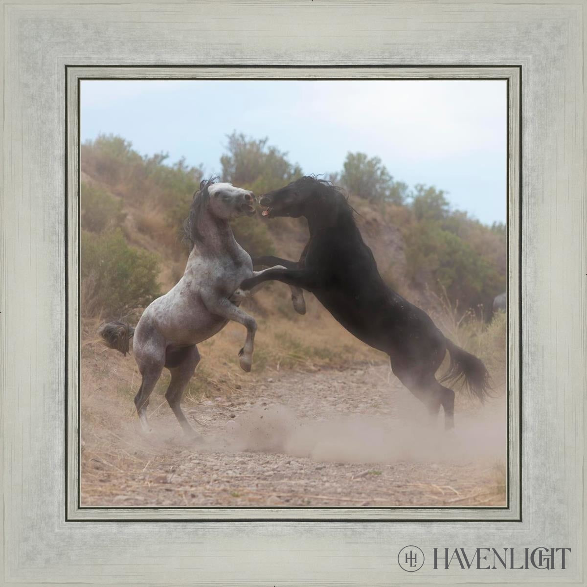 Fight In The Wash Open Edition Print / 12 X Silver 16 1/4 Art