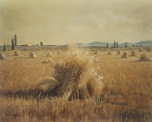 Golden Harvest Open Edition Print / 20 X 16 Only Art