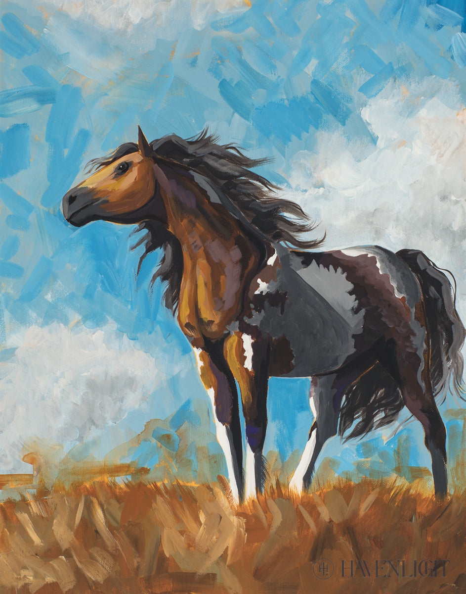 Horse Open Edition Print / 11 X 14 Only Art