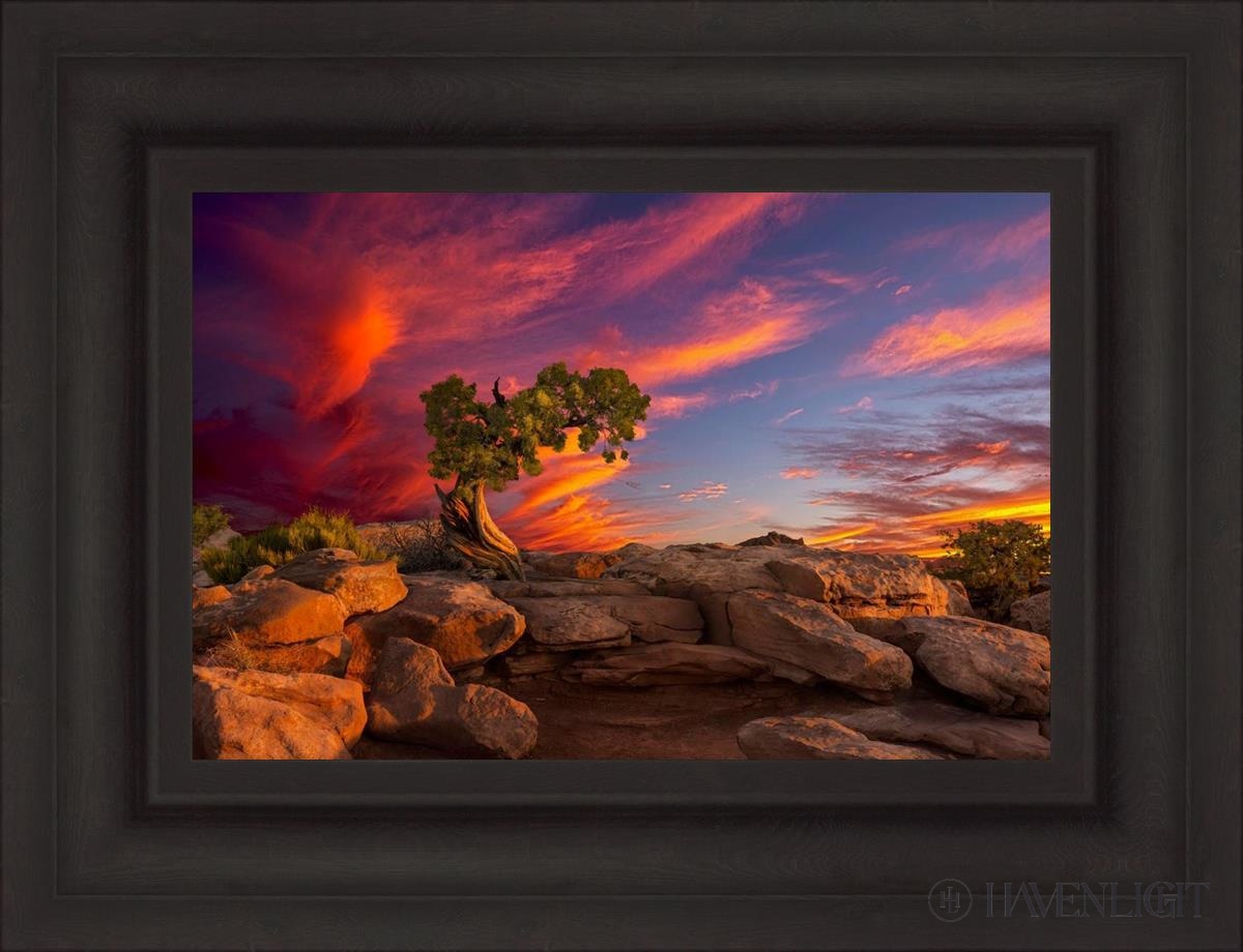 Moab Morning Open Edition Canvas / 18 X 12 Brown 25 3/4 19 Art