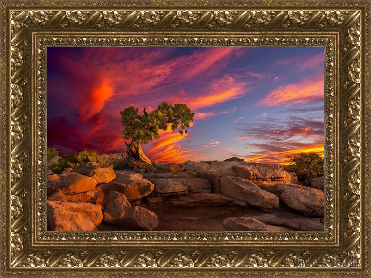 Moab Morning Open Edition Canvas / 18 X 12 Gold 23 3/4 17 Art
