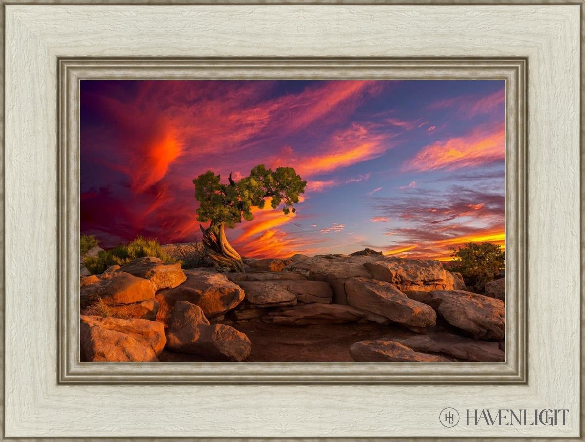 Moab Morning Open Edition Canvas / 18 X 12 Ivory 24 1/2 Art