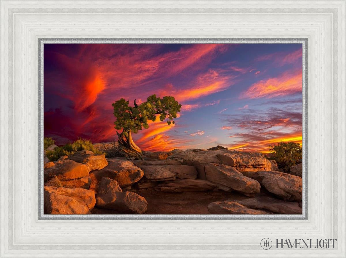 Moab Morning Open Edition Canvas / 18 X 12 White 23 3/4 17 Art