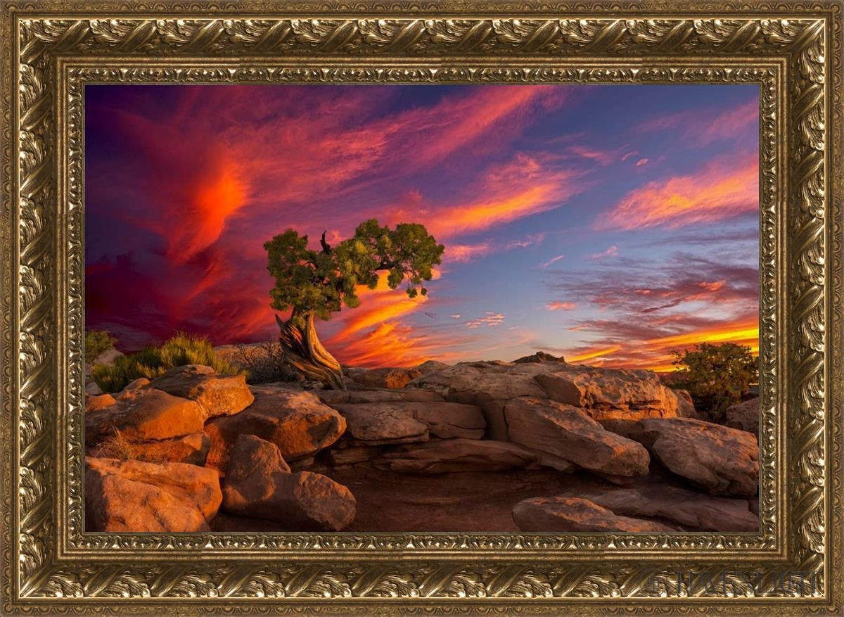 Moab Morning Open Edition Canvas / 24 X 16 Gold 29 3/4 21 Art