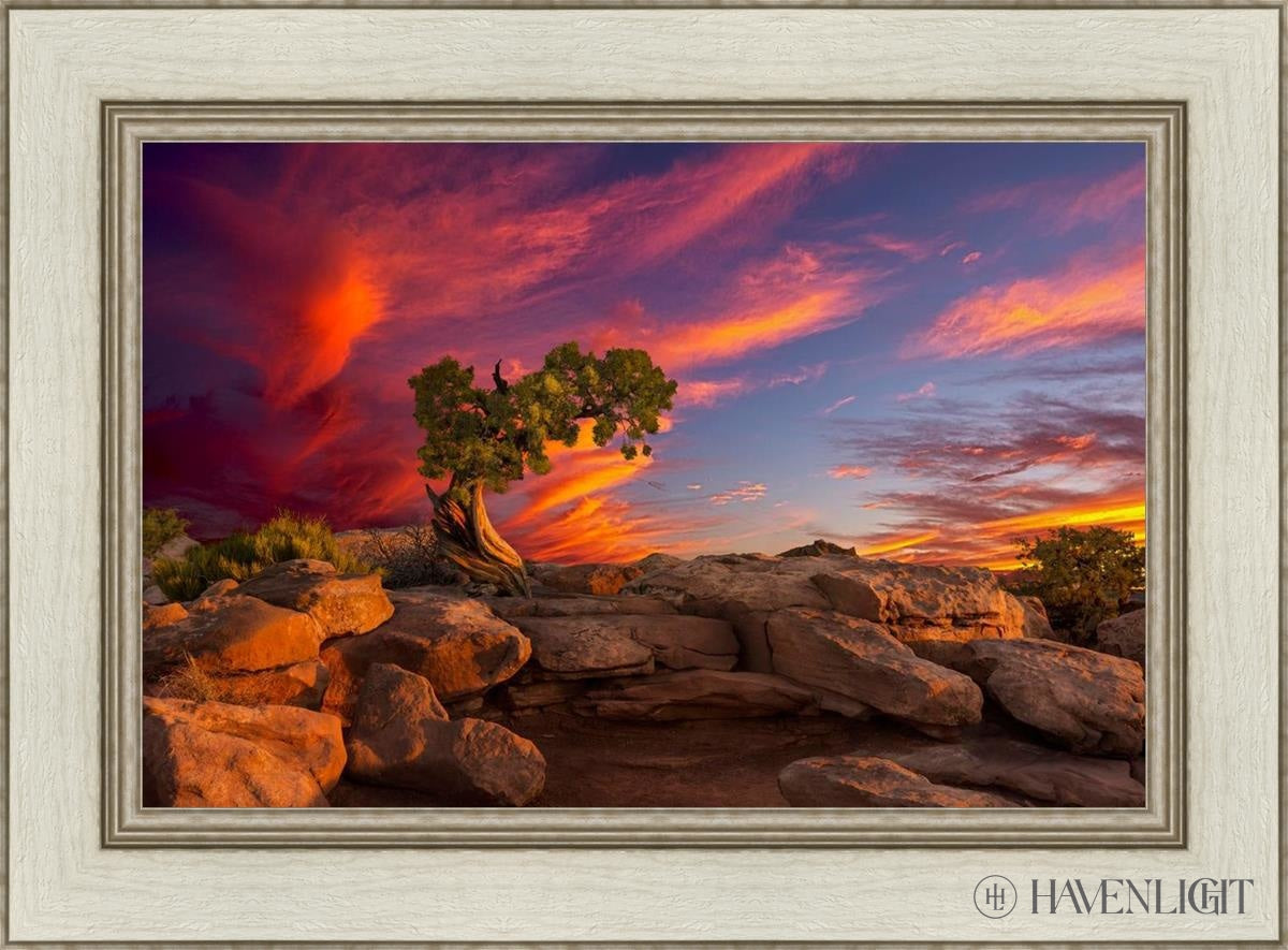 Moab Morning Open Edition Canvas / 24 X 16 Ivory 30 1/2 22 Art