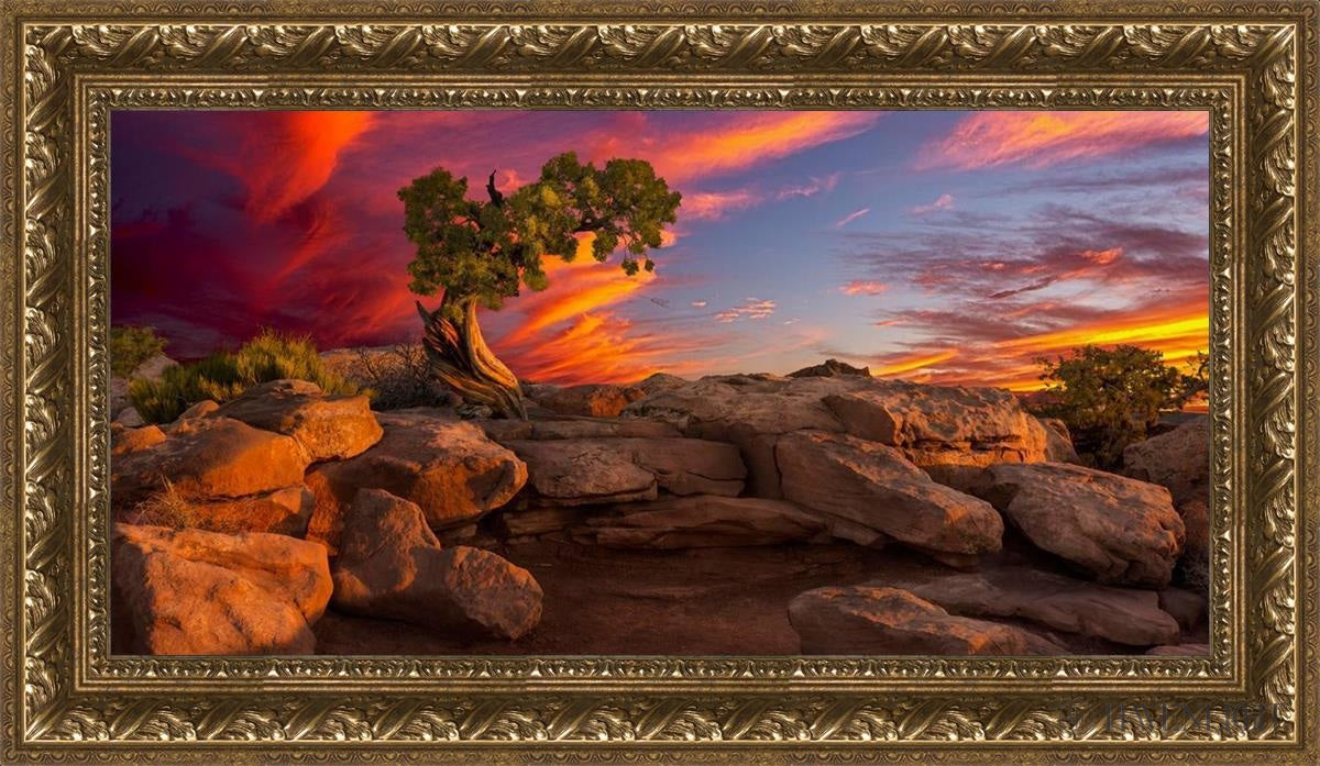 Moab Morning Open Edition Canvas / 30 X 15 Gold 35 3/4 20 Art