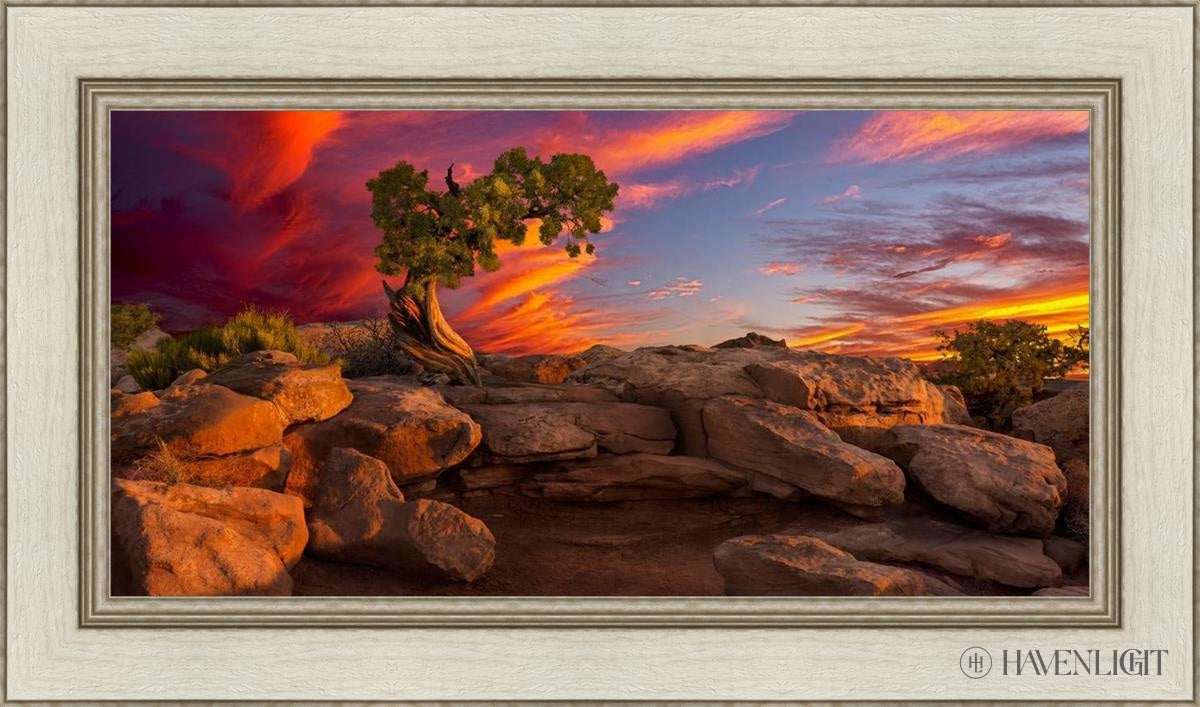 Moab Morning Open Edition Canvas / 30 X 15 Ivory 36 1/2 21 Art
