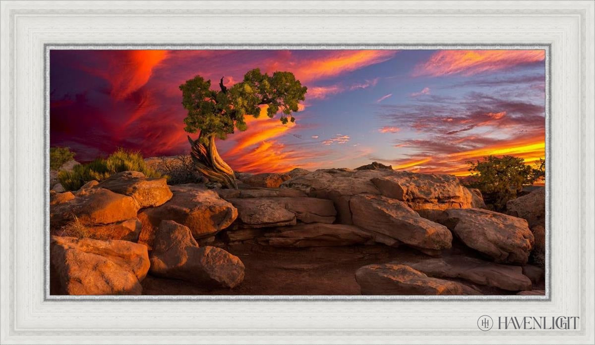 Moab Morning Open Edition Canvas / 30 X 15 White 35 3/4 20 Art